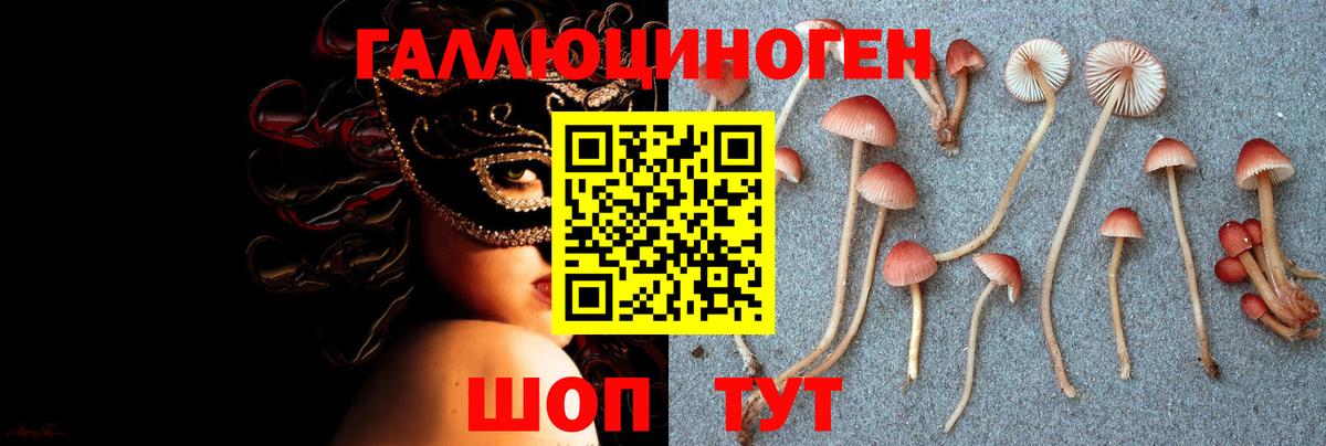 Александров  Псилоцибиновые грибы ЛСД  магазин    Вход с VPN 