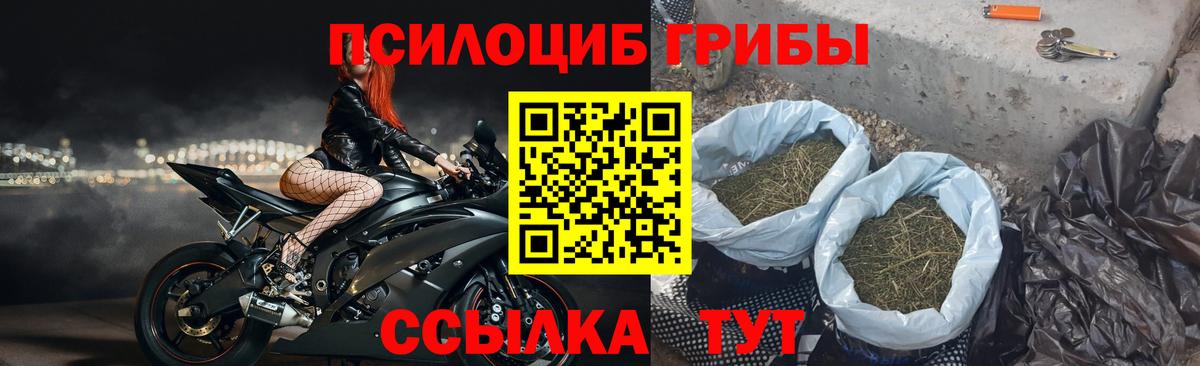 Псилоцибиновые грибы мухоморы Александров