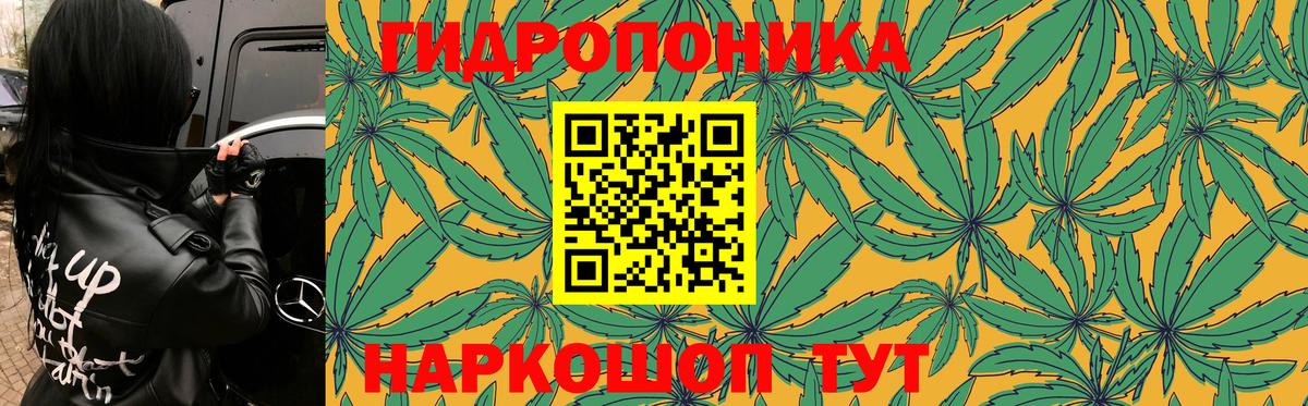Бошки Шишки VHQ Александров